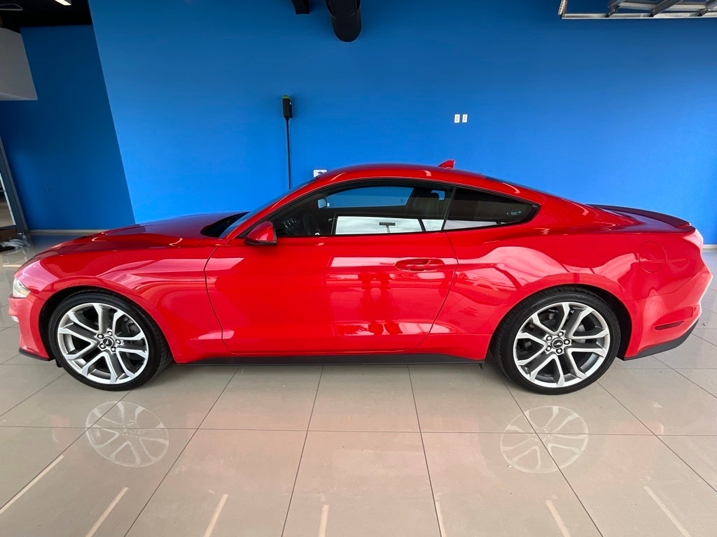 Used 2021 Ford Mustang EcoBoost Premium with VIN 1FA6P8THXM5157197 for sale in Kansas City